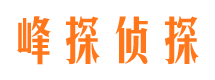 叶城侦探公司